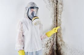 Best Emergency Mold Remediation in Gruetli Laager, TN